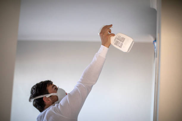 Best Industrial Mold Remediation in Streetsboro, OH