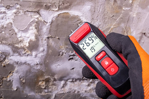 Best Kitchen Mold Remediation in Streetsboro, OH
